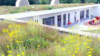 Selon l’observatoire du marché, les créations/réalisations de toitures et façades végétalisées s’élèvent à plus de 220 millions d’euros /an. Ici Biotopes Création, un chantier réalisé avec une solution Optigreen, tous deux membres de l’Adivet. ©Biotopes Création/Optigreen